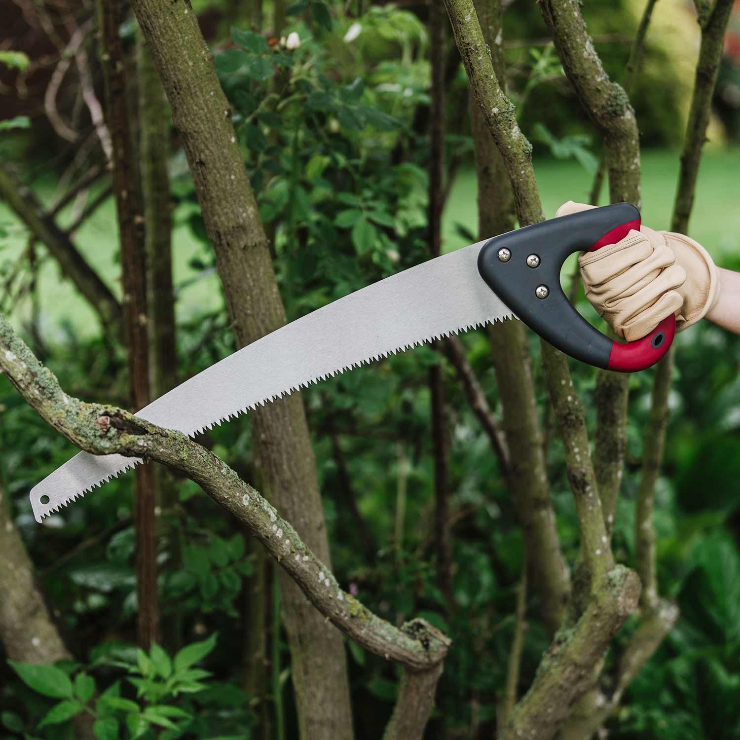 Curved Pruning Saw Carbon Steel, Triple-ground Teeth | Medium