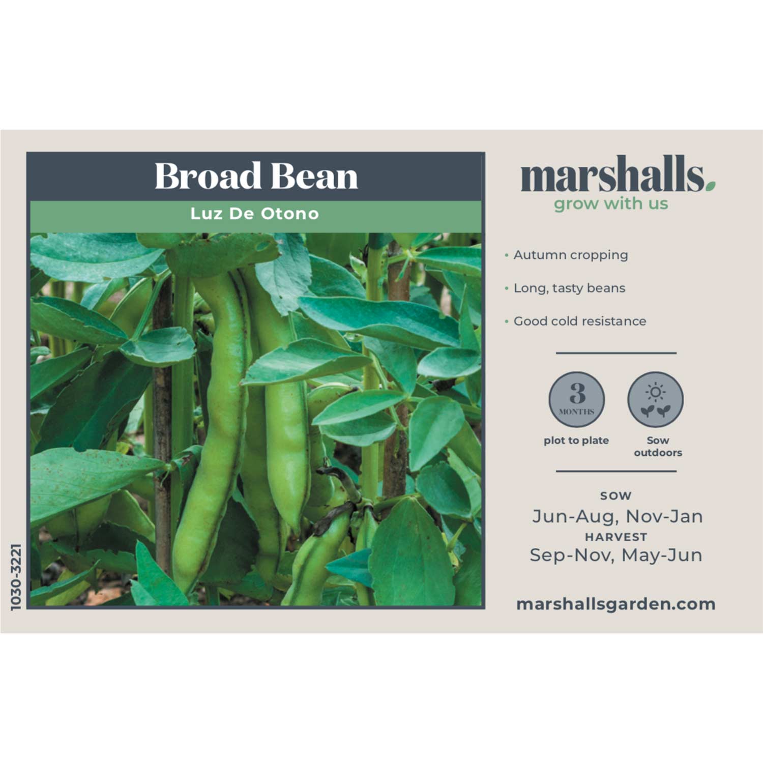 Broad Bean Seeds 'luz De Otono' — Autumn Cropping, 75 Seeds | 75 Seeds | Green