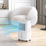 12l Per Day Small Dehumidifier With Humidity Light