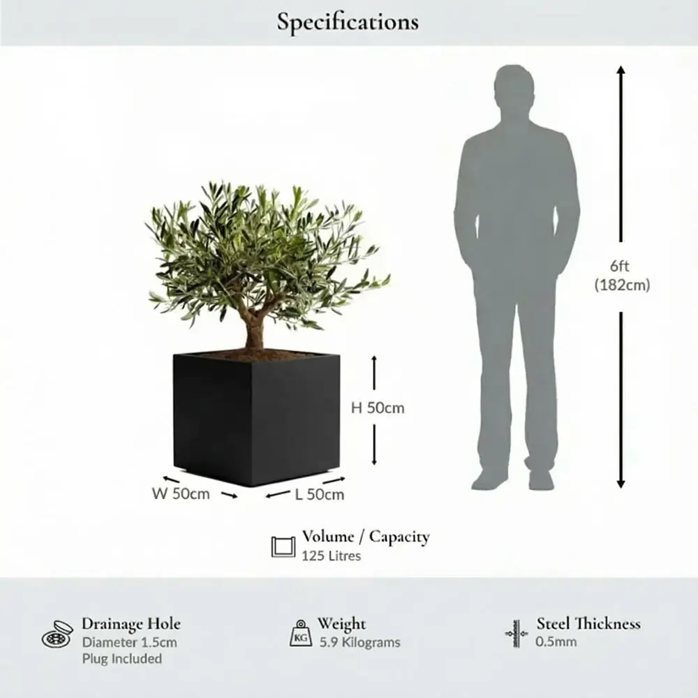 Zinc Galvanised Square Planter | 50cm x 50cm x 50cm | Matte Black