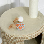 Cat Tree Tower Activity Centre With Jute Scratching Posts Condo