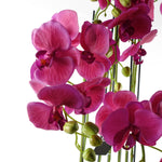 110cm Artificial Pink Orchid Plant Artifcial 41 Real Touch Flowers