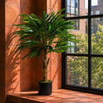 100cm Longifolia Ficus Tree Artificial Natural Trunk