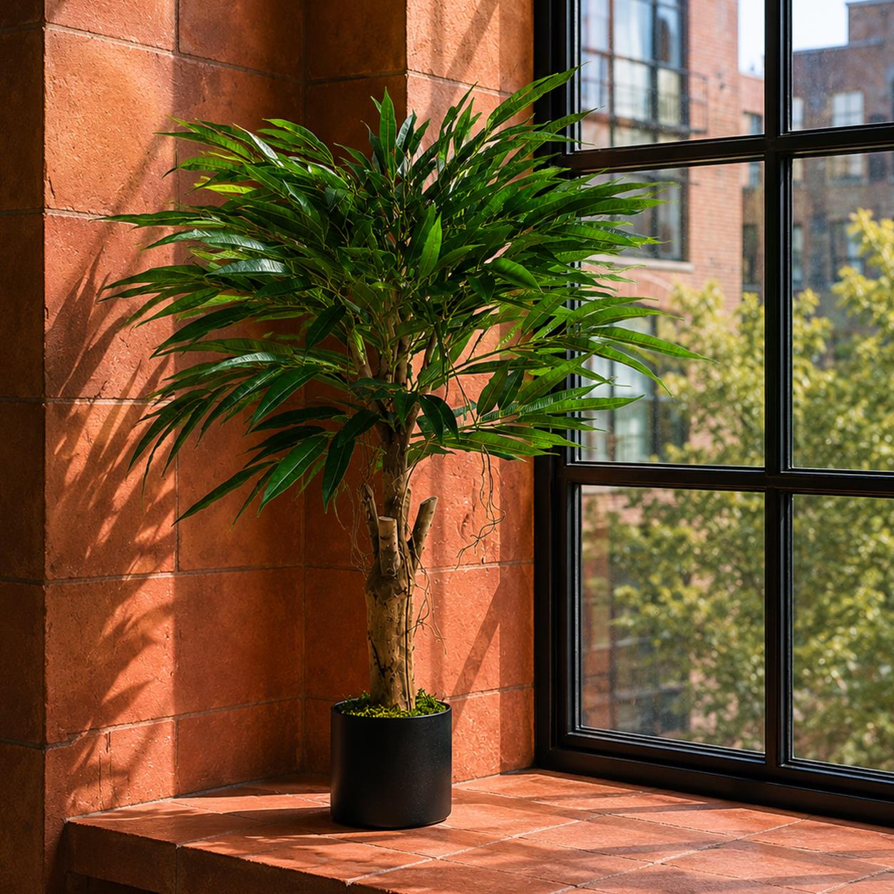 100cm Longifolia Ficus Tree Artificial Natural Trunk