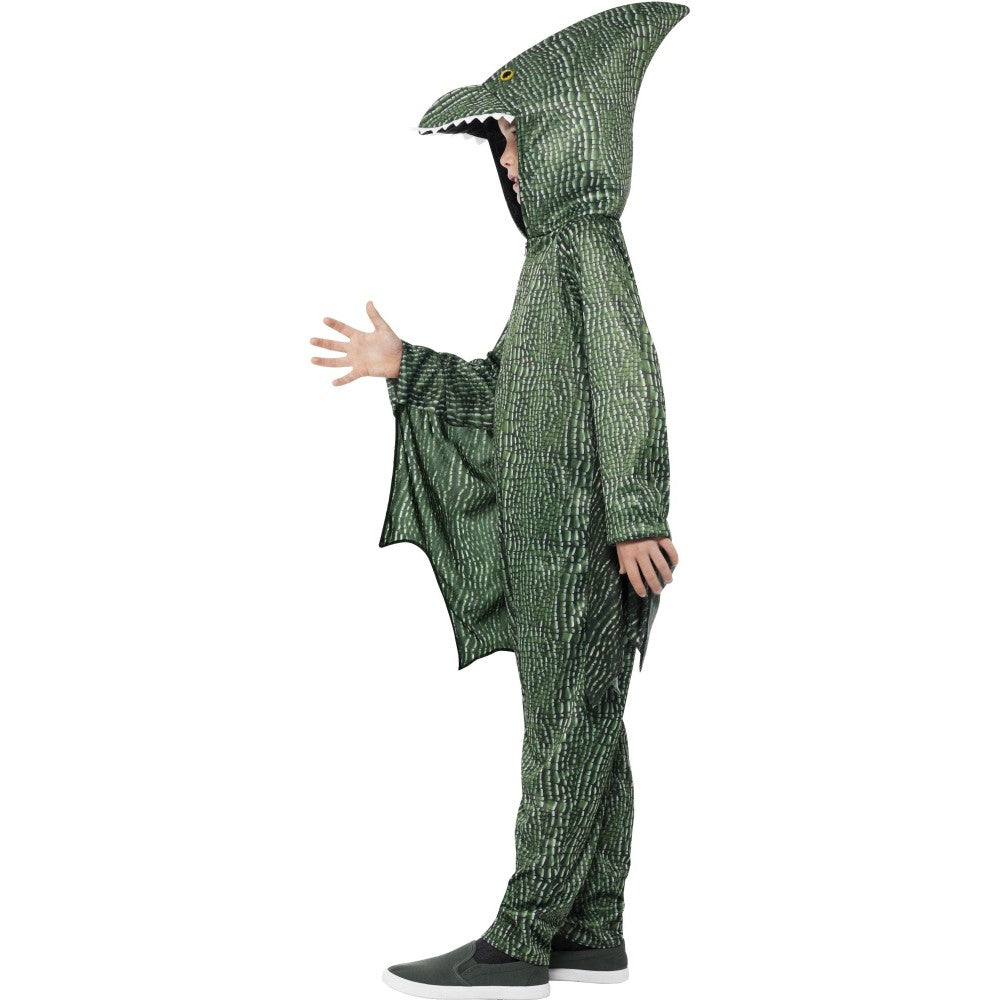 Pterodactyl Dinosaur Costume | Age 7-9