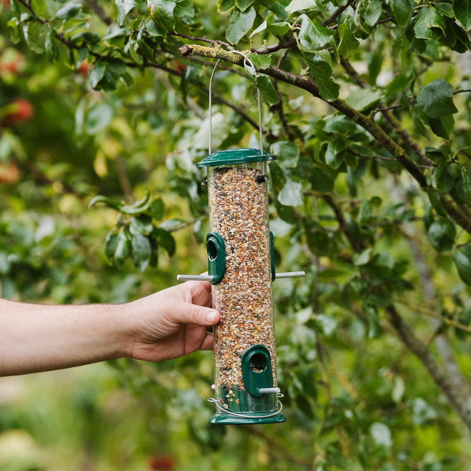 All-weather Seed Feeder, Hanging Stainless Steel Tube 30 Cm | Green