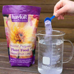General Purpose Plant Food - 1kg | Set of 1 | Multi
