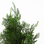 Artificial Cypress Topiary 90cm