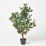 Artificial Peony Tree In Black Pot, 100 Cm Tall | 100cm | Beige