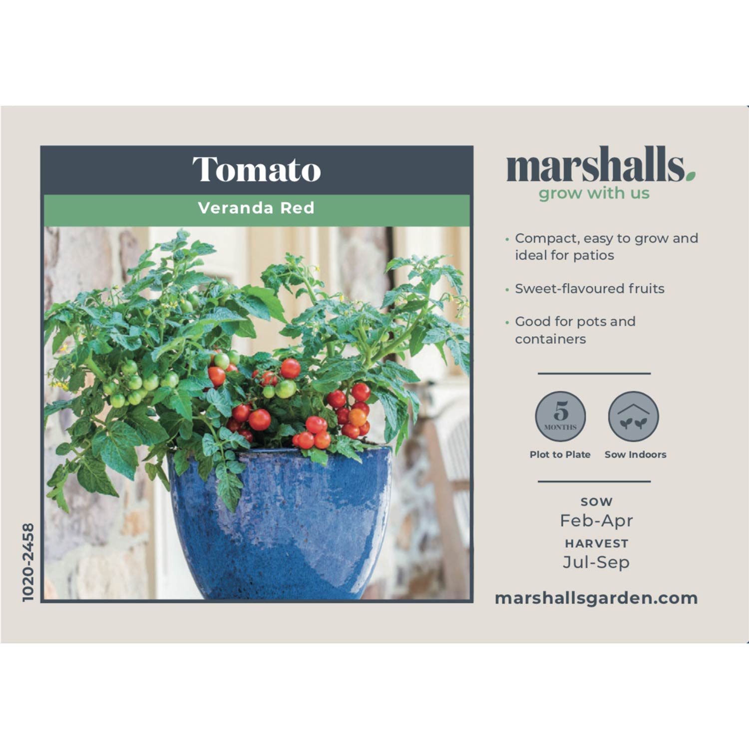 Veranda Red Patio Tomato Seeds - Dwarf Self-supporting | 10 Seeds