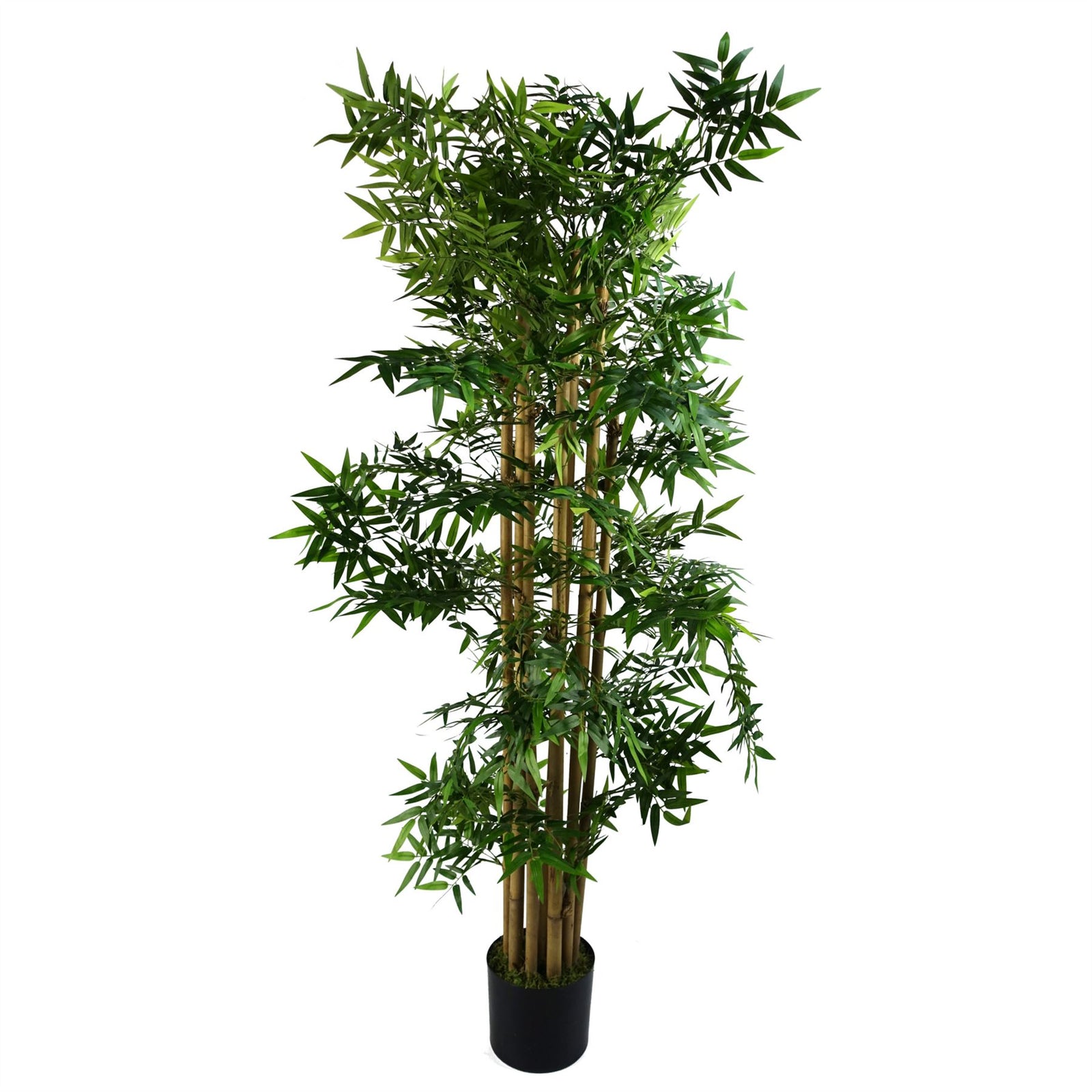 Artificial Oriental Bamboo Plant 150cm - Realistic Plant By Botanik