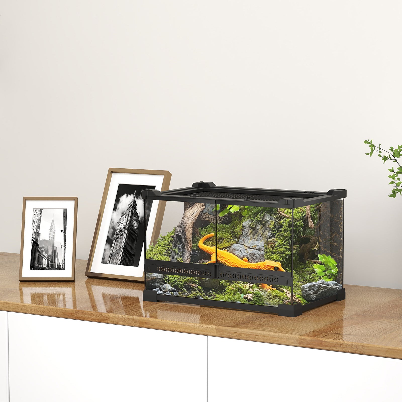 Glass Terrarium, Reptile Vivarium With Stone Background | 10l | Black
