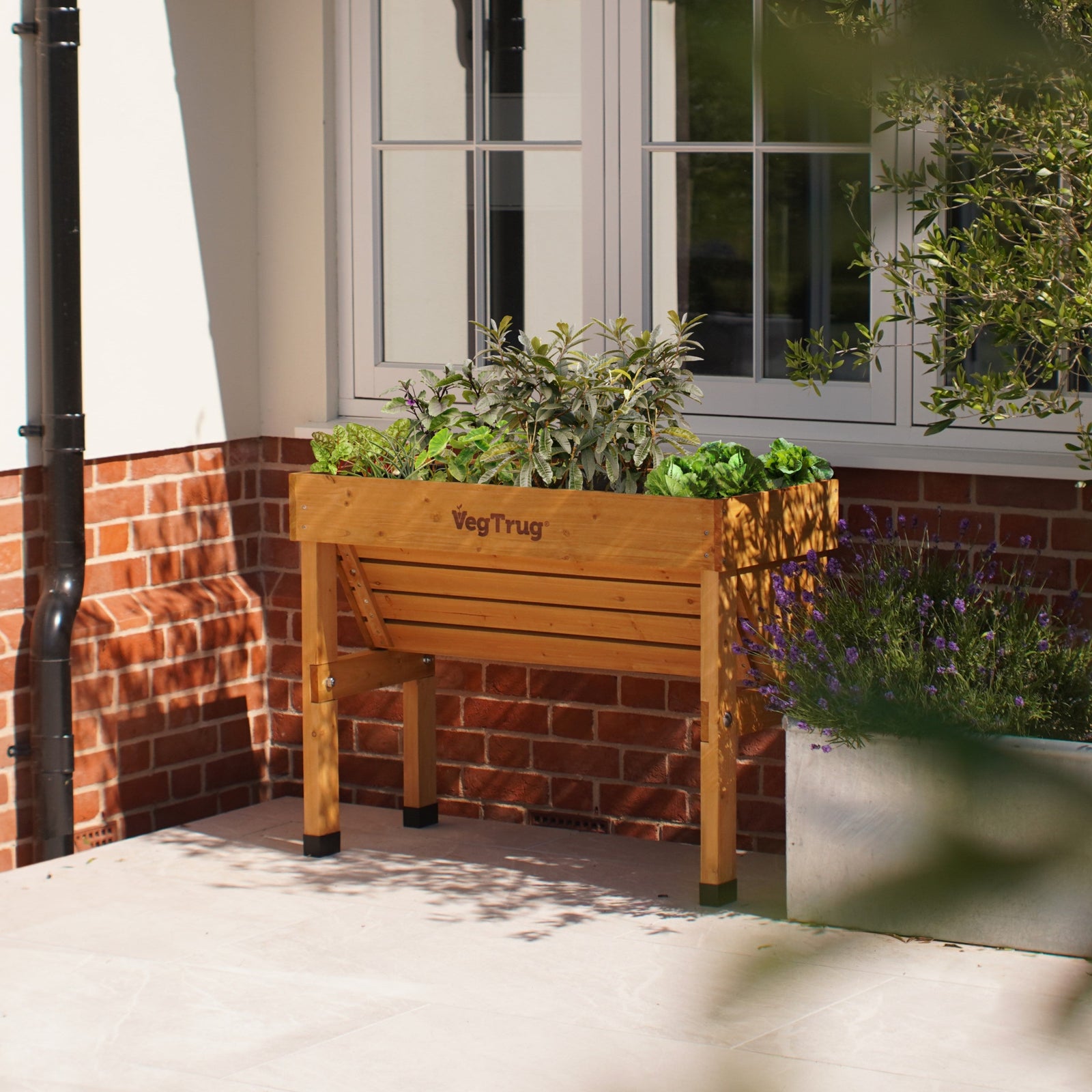 Raised Wooden Planter -Small Wall Hugger | Natural