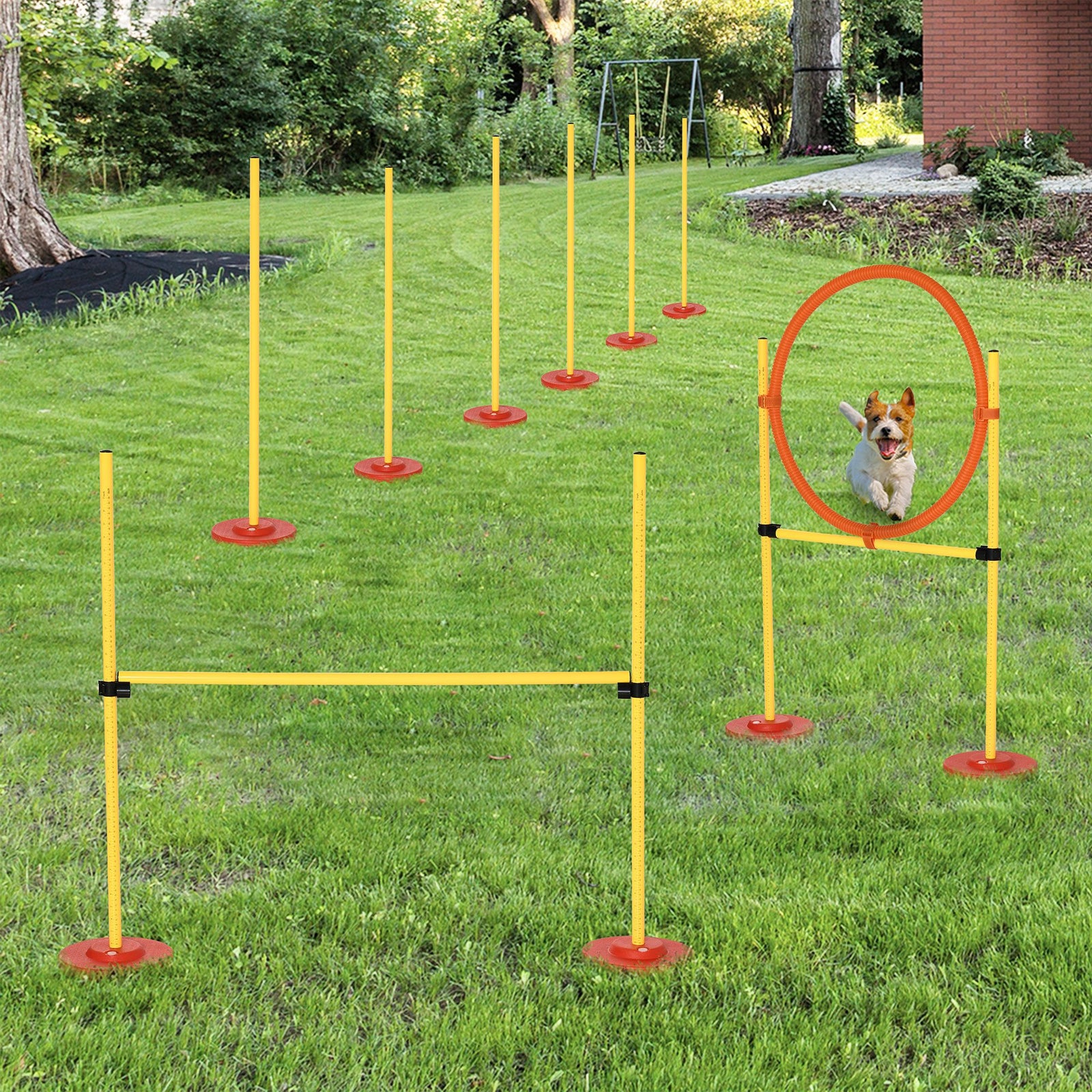 Outdoor 3 Pc Dog Pet Agility Training Garden Starter Obstacle Set For Dog