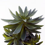 60cm Artificial Tropical Yukka In Planter