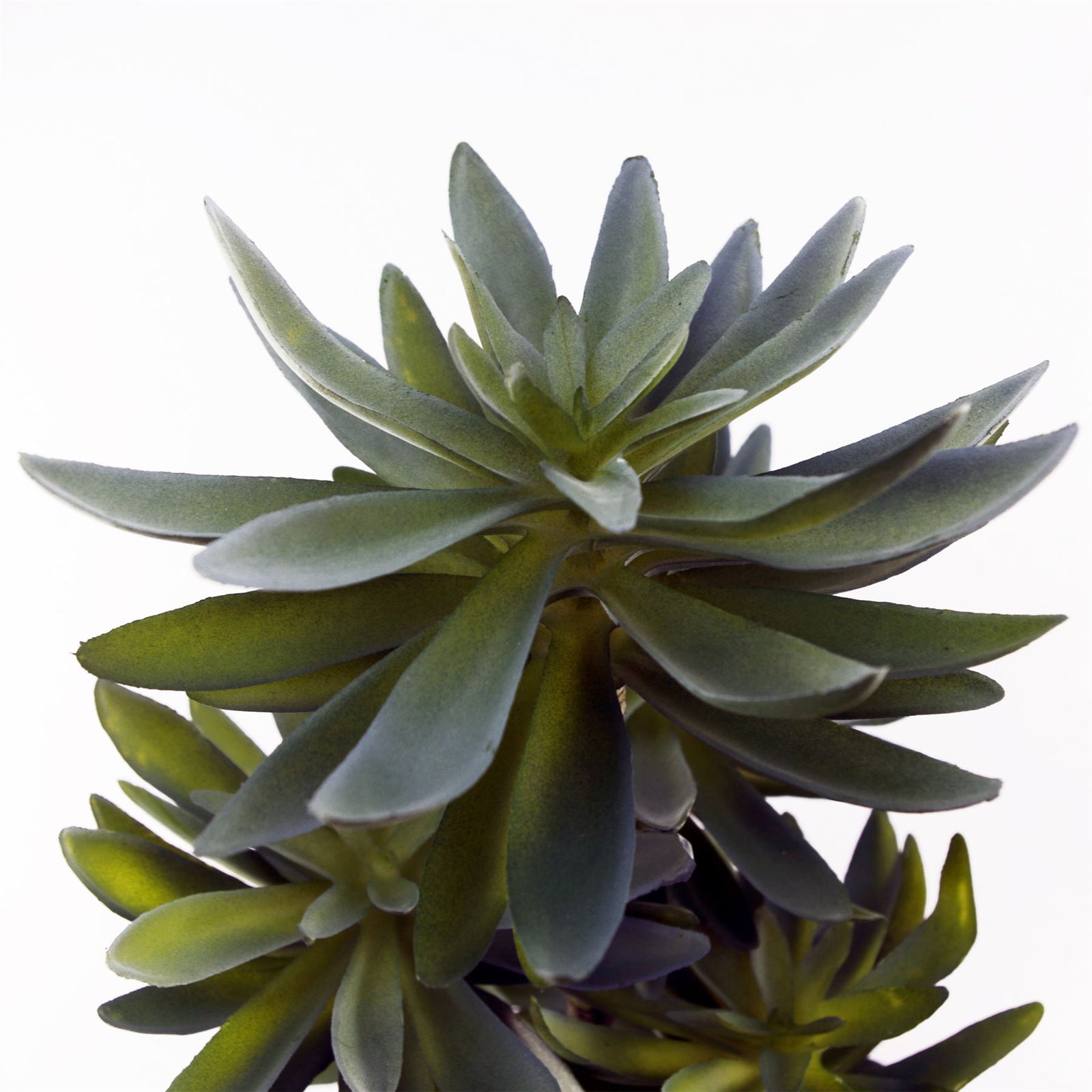 60cm Artificial Tropical Yukka In Planter