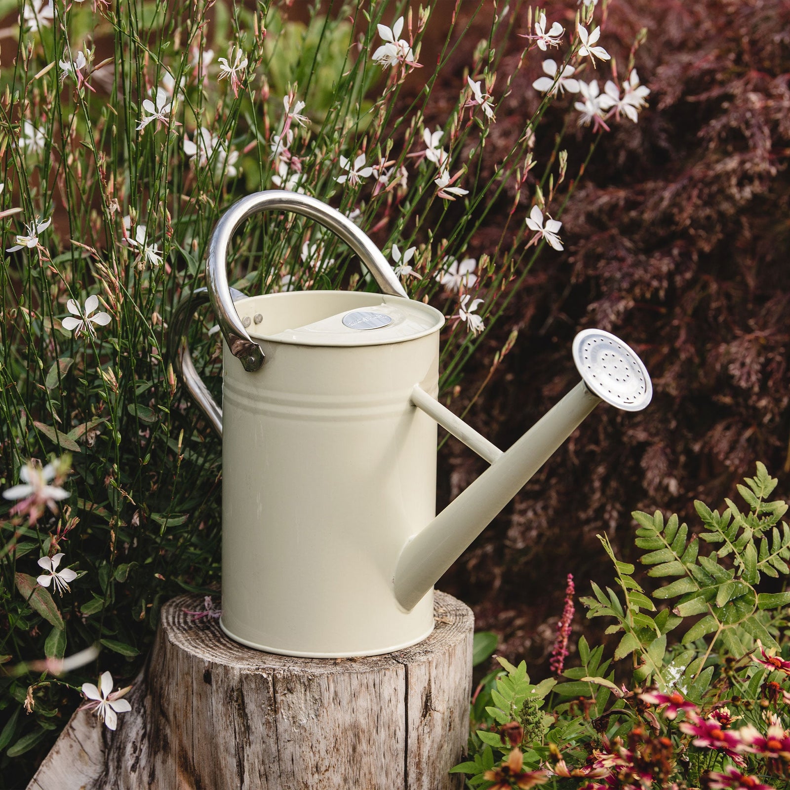 Galvanised Steel Watering Can | Deep Purple