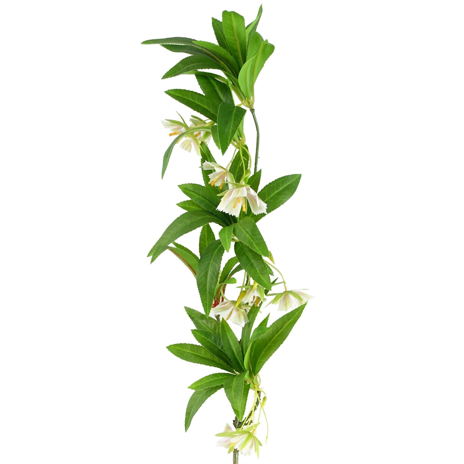 Leaf 6 X 90cm Artificial Hainan Elaeocarpus Stem