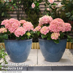 Garden_Gear Large Glazed Effect Planter Garden Patio Outdoor Plastic 39.5cm