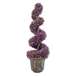 90cm Purple Large  Spiral With Decorative Planter