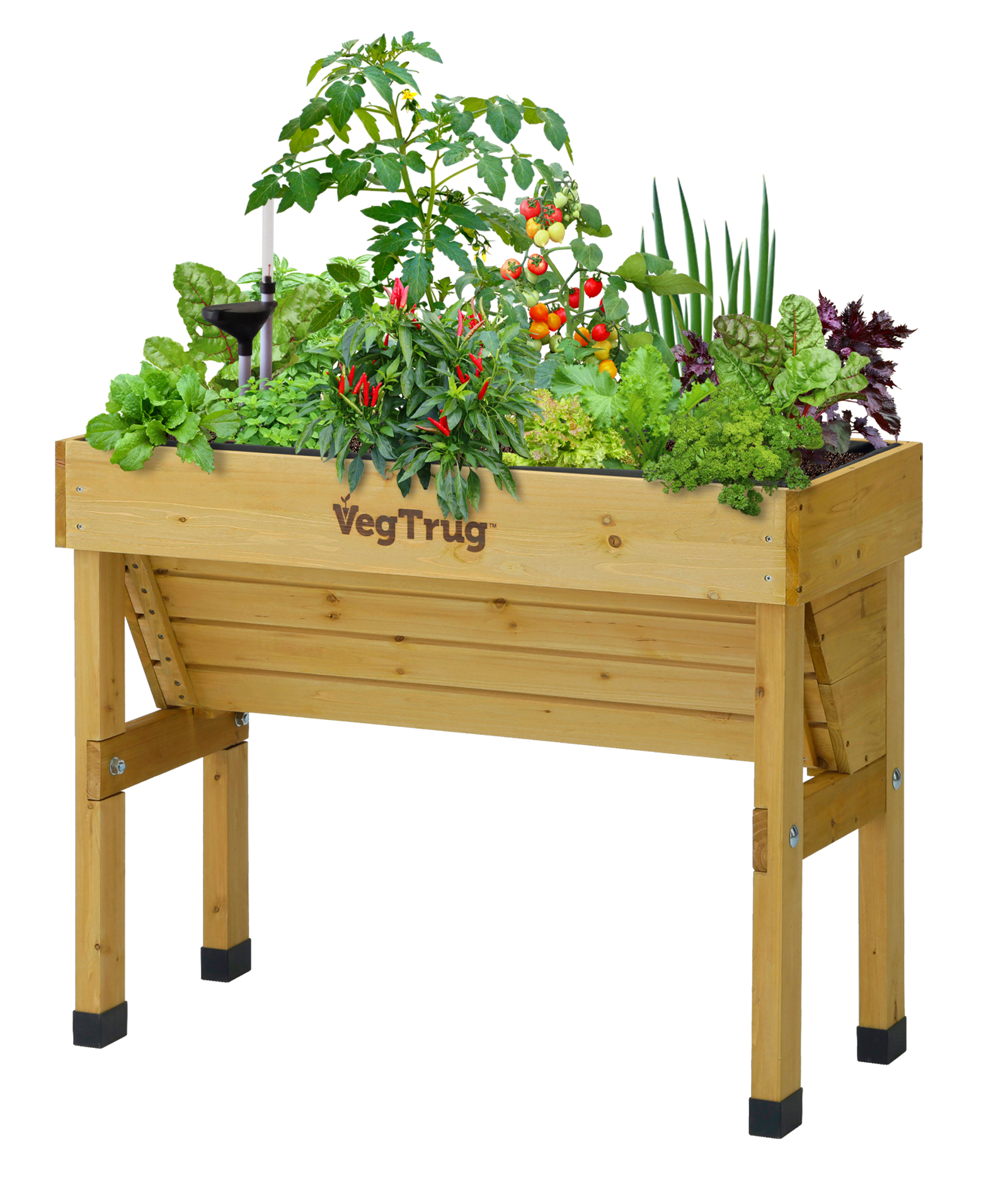 Small Wall Hugger Self-watering Kit
