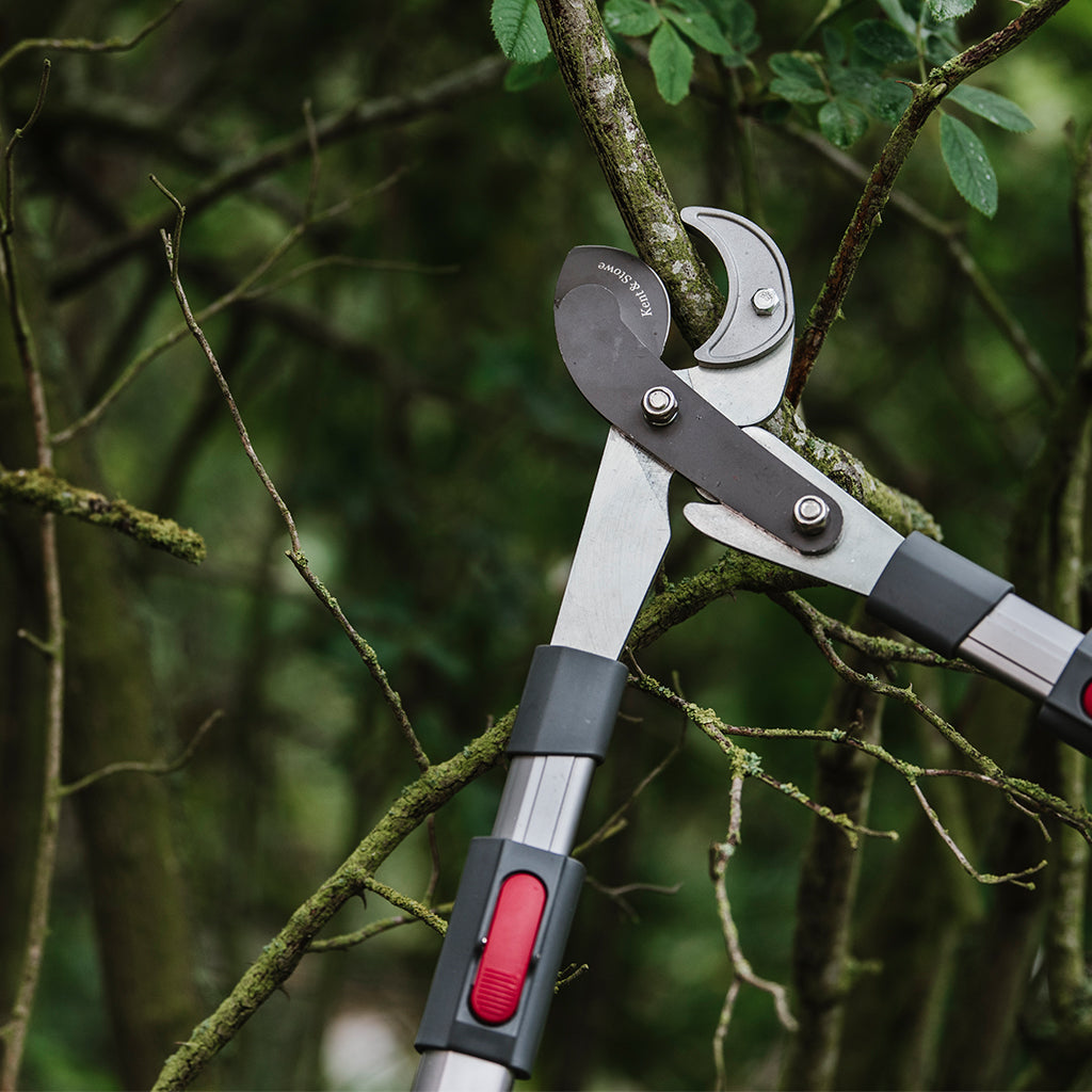 Telescopic Geared Anvil Loppers, Cutting Capacity | Medium