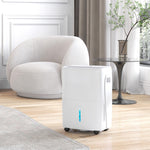 30l Per Day Dehumidifier For Home With Auto Clean Filter
