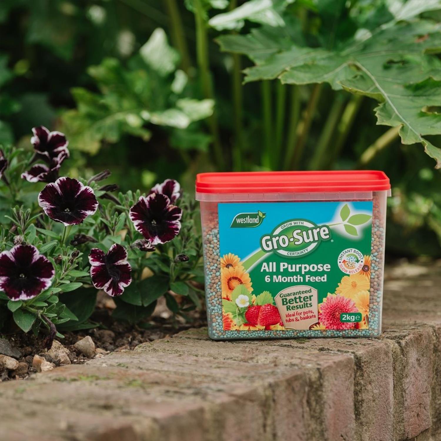 All Purpose 6 Month Slow Release Plant Feed, 2kg