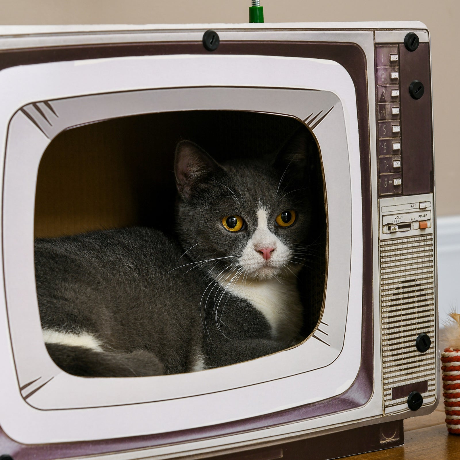 Tv-shaped Cardboard Cat House With Scratcher, Catnip, Toy Rat