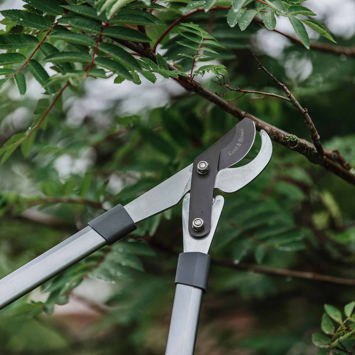 Geared Bypass Loppers | Medium