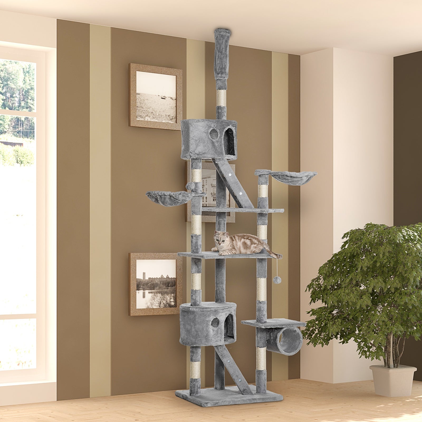 240-260cm Floor To Ceiling Cat Tree With Scratching Posts | Gray