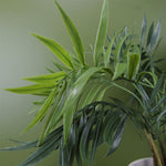 Artificial Tree Plant Palm In Decorative Planter Botanik