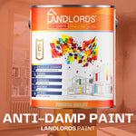 Anti-damp Paint - Damp Proof Protection For Interior Walls & Ceilings | 1L | Sage Green