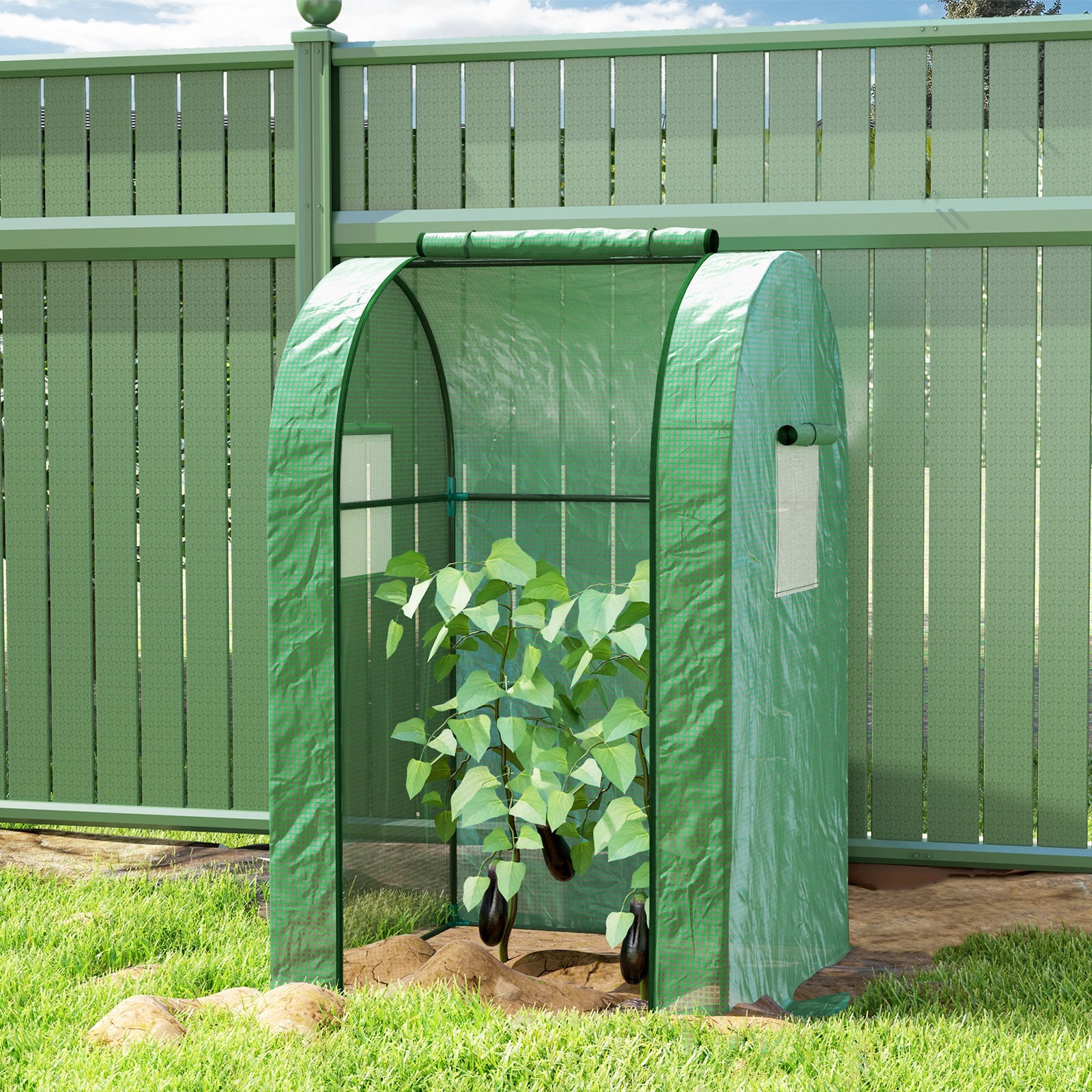 Tomato Greenhouse, Roll-up Door, Mesh Windows | Green