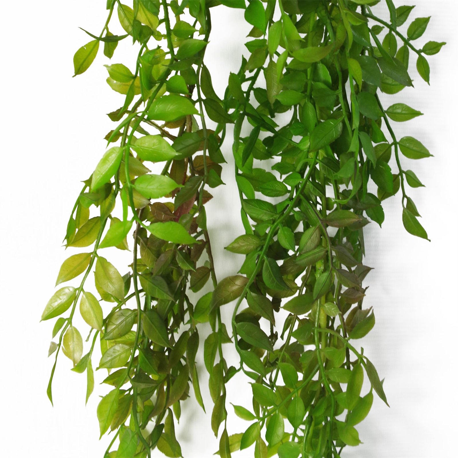 6 X 100cm Artificial Hanging String Of Pearls Fern Plant Dark Green