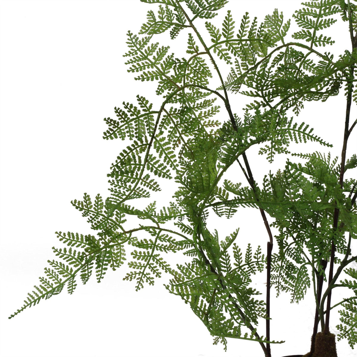 Artificial 60cm Natural Moss Base Fern Foliage Plant