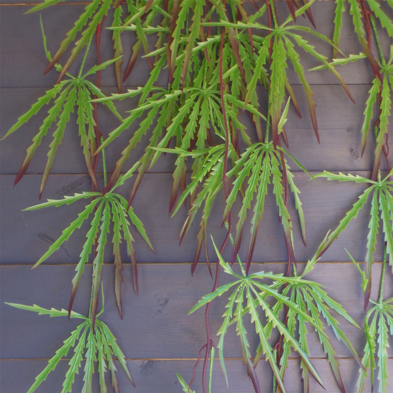 Pack Of 12 X 100cm Artificial Hanging Acer Plant