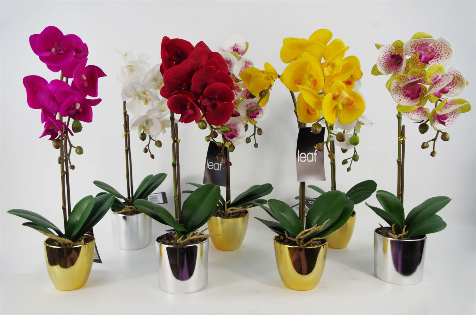 48cm Harlequin Orchid Artificial Pink With Gold Pot