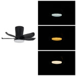 5-blade Ceiling Fan Light With 6-speed Reversible Motor, App & Remote | Black