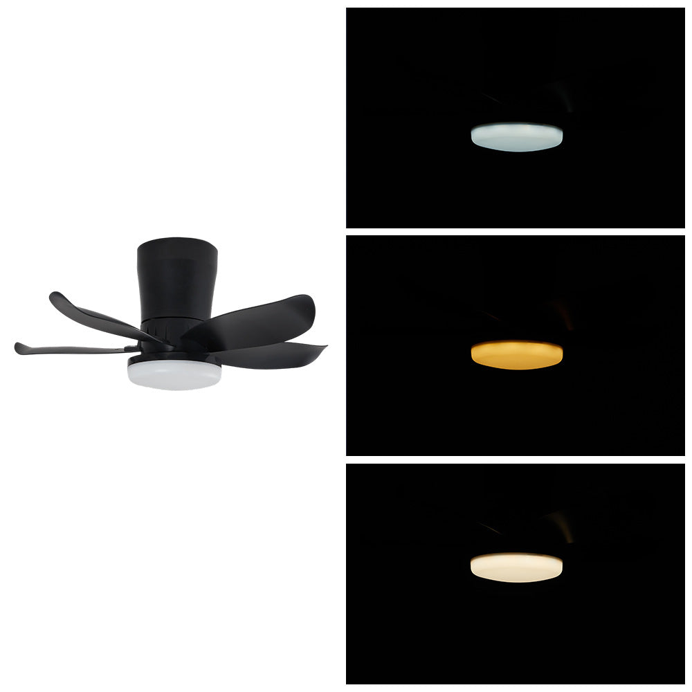 5-blade Ceiling Fan Light With 6-speed Reversible Motor, App & Remote | Black