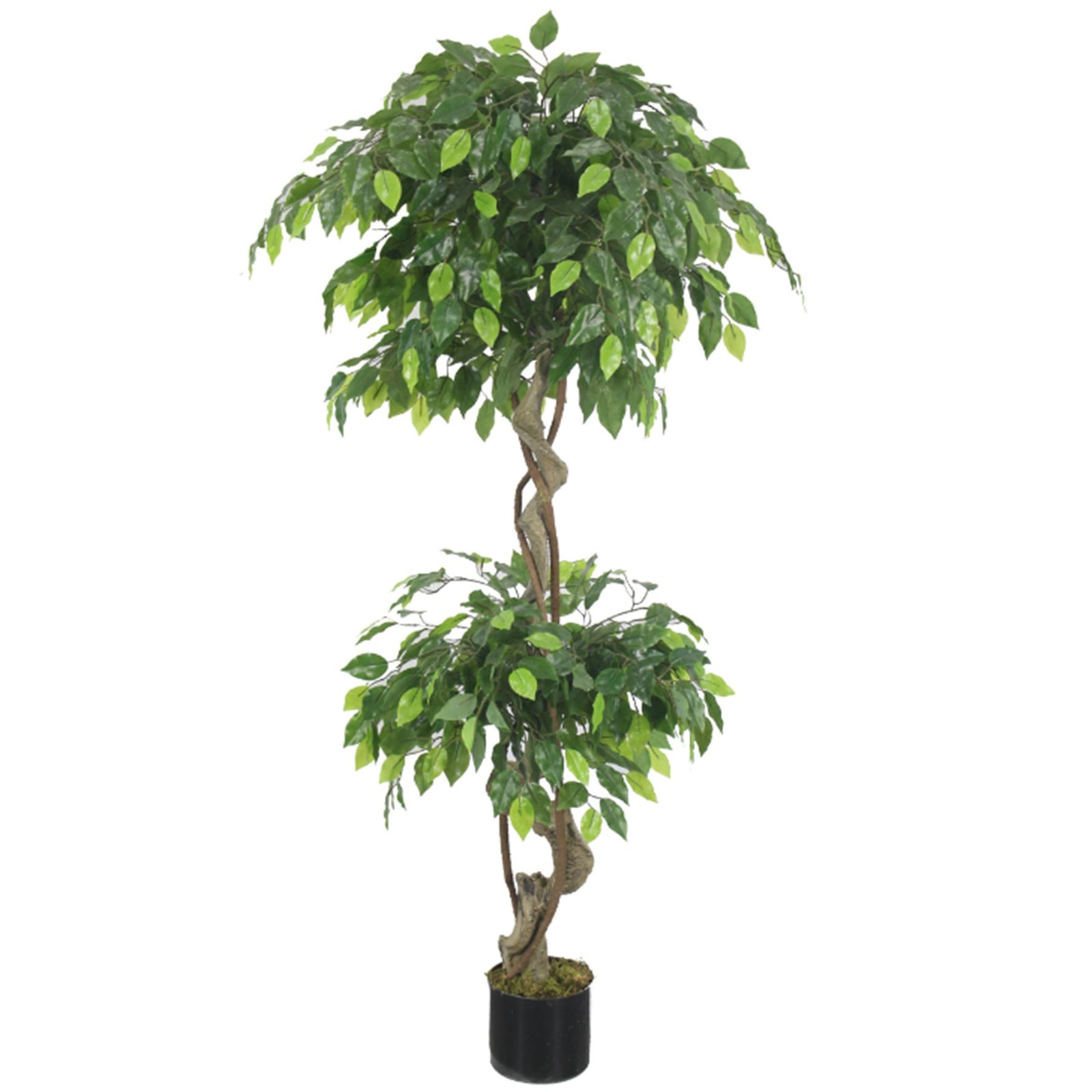 Artificial 150cm Twisted Ficus Tree
