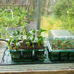 Electric Heated Propagation Mat For Boost Seed Germination, 50cm X 25cm | Single | Black