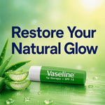Lip Therapy With Petroleum Jelly Balm Sticks, Aloe Vera 4g | Set of 8
