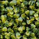 12pcs Milan Grass Boxwood Panel 50cm X 50cm