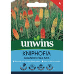 Red Hot Poker (kniphofia) Seeds Grandiflora Mix - 50 Seeds | 50 Seeds | Green