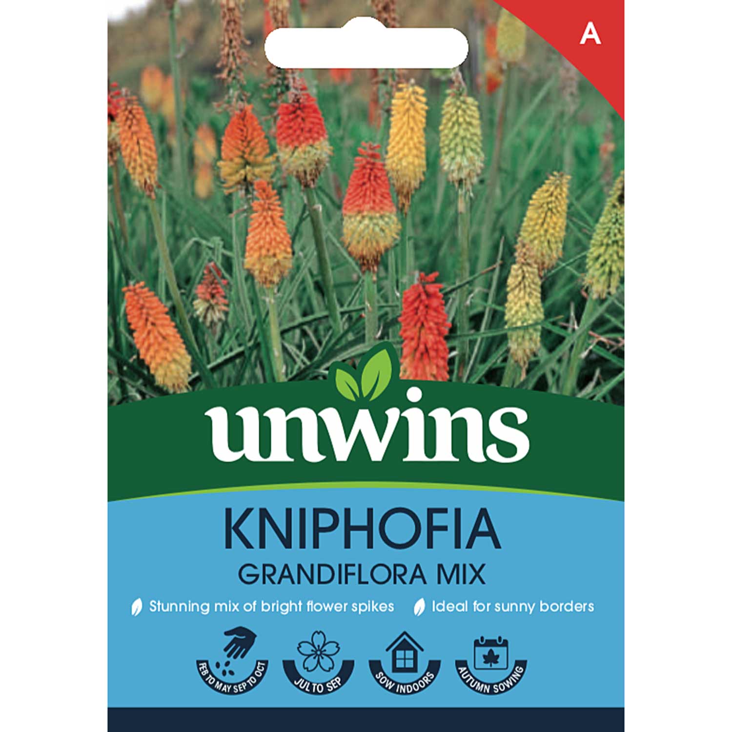 Red Hot Poker (kniphofia) Seeds Grandiflora Mix - 50 Seeds | 50 Seeds | Green