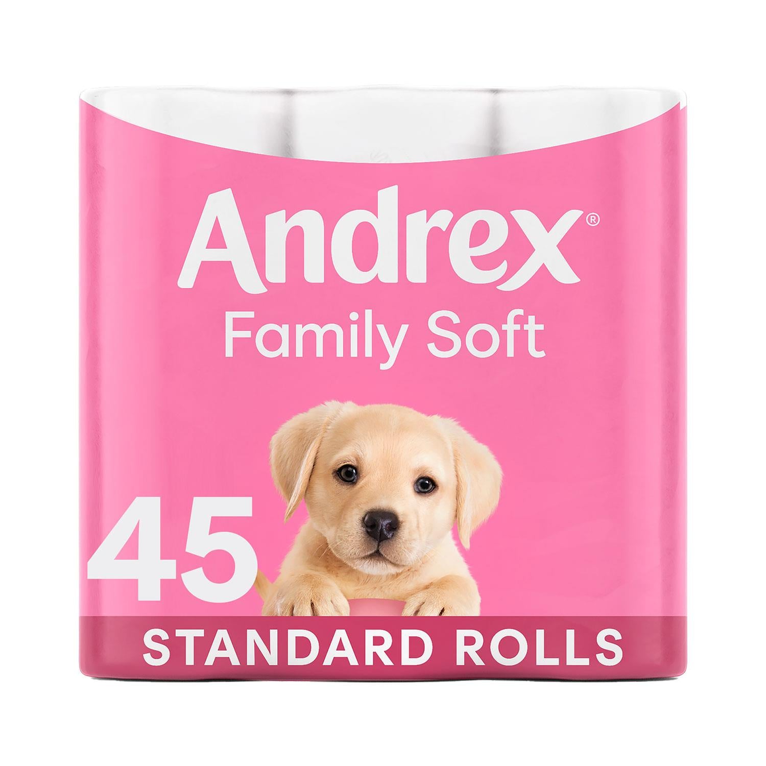 Rolls X45 Gentle Clean Fragrance-free 2 Ply Toilet Paper