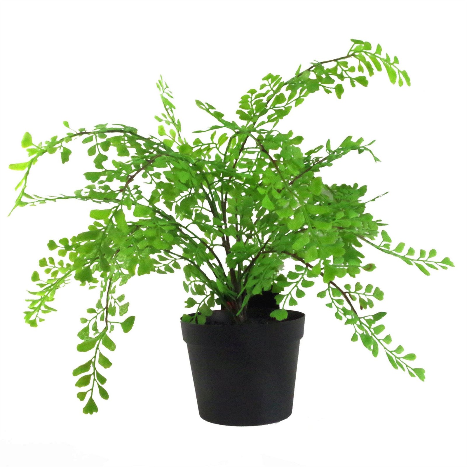35cm Artificial Potted Fern Plant (southern Maidenhair Fern)
