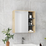 Bathroom Cabinet Wall Mounted Mirror Storage With Shelves
