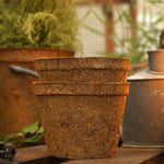 17cm Coir Pots Pack Of 10